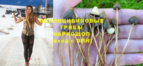 соль курить ск Абаза